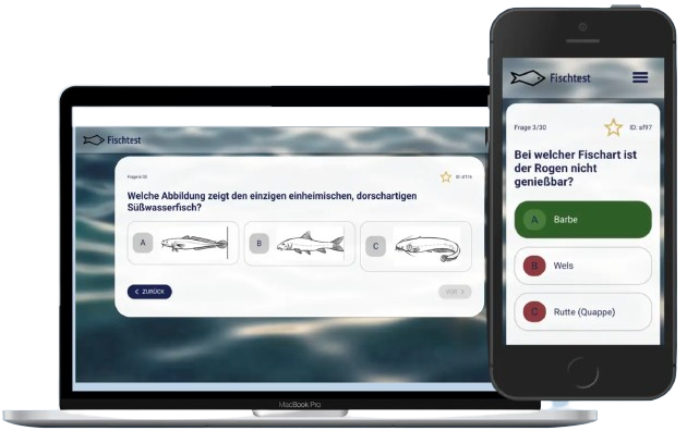 Symbolbild Mockup